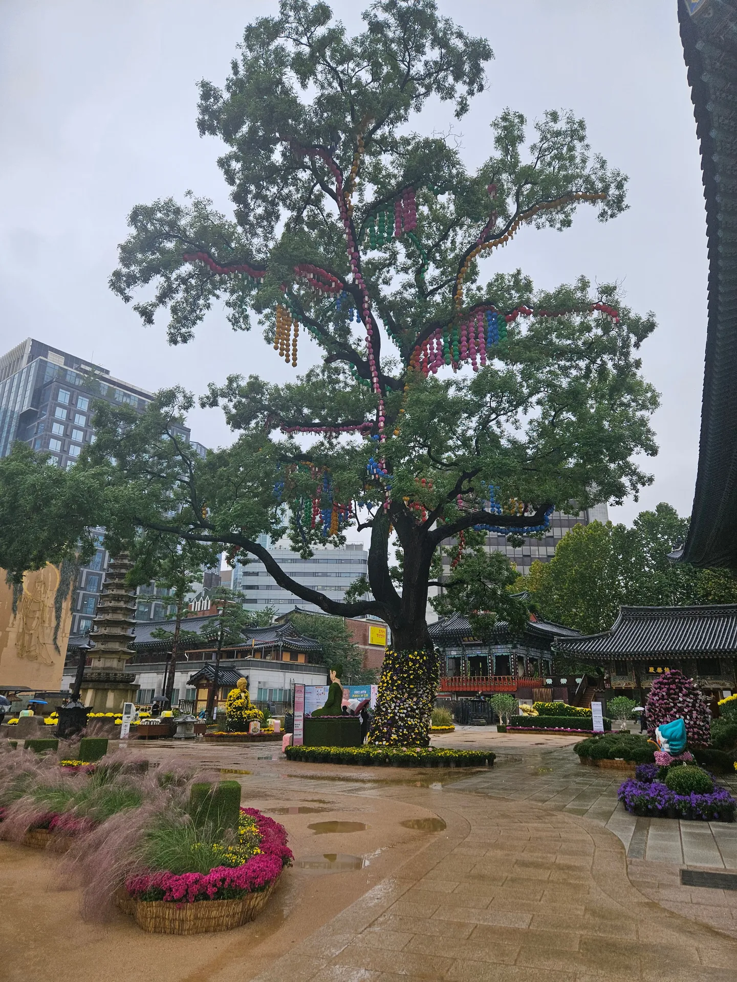 Travel photos from Seoul 3