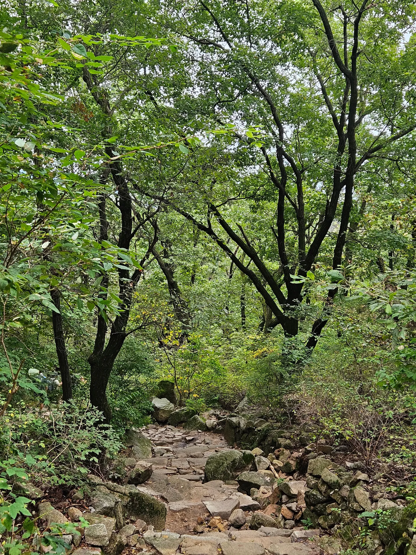 Travel photos from Seoul 10