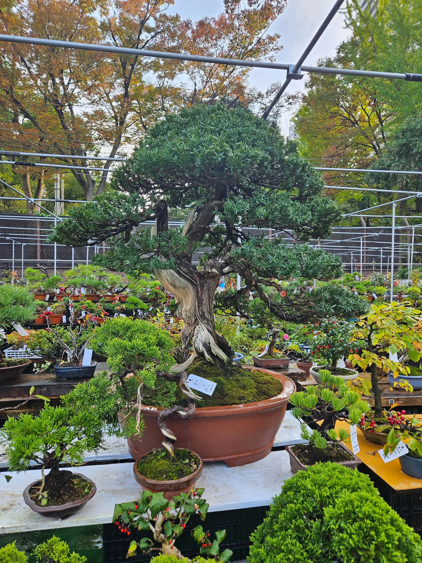 Travel photos from Seoul 13