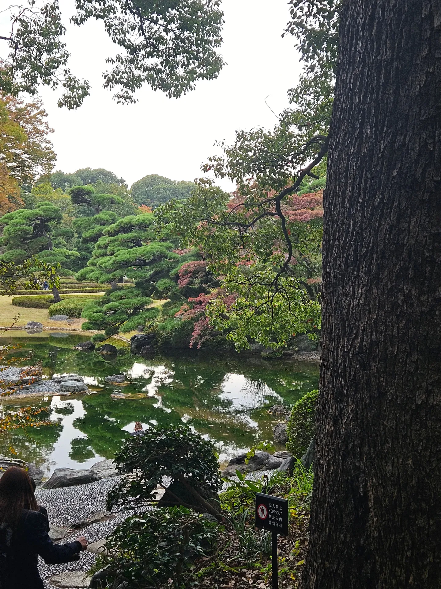 Travel photos from Seoul 11