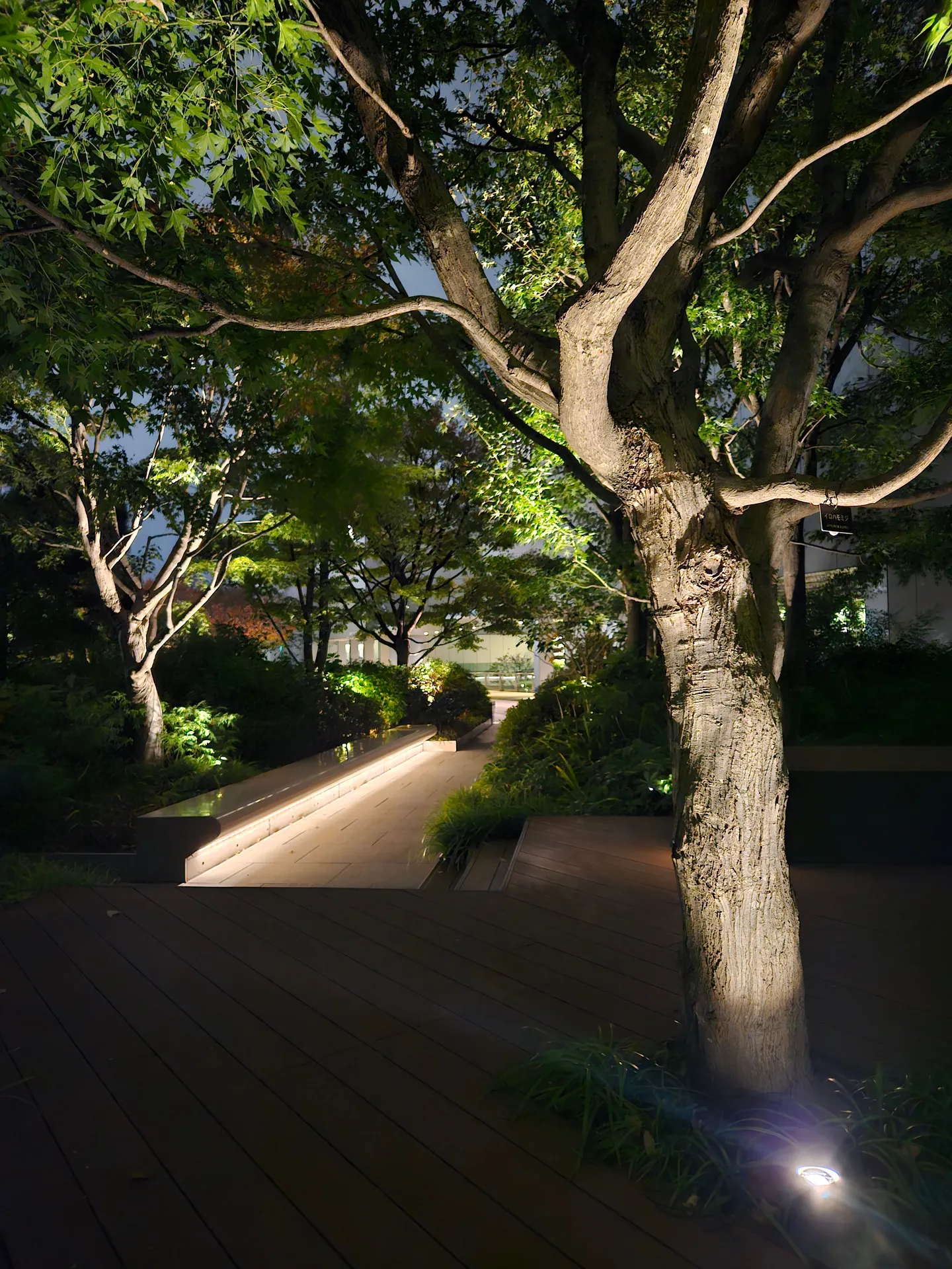 Travel photos from Seoul 22