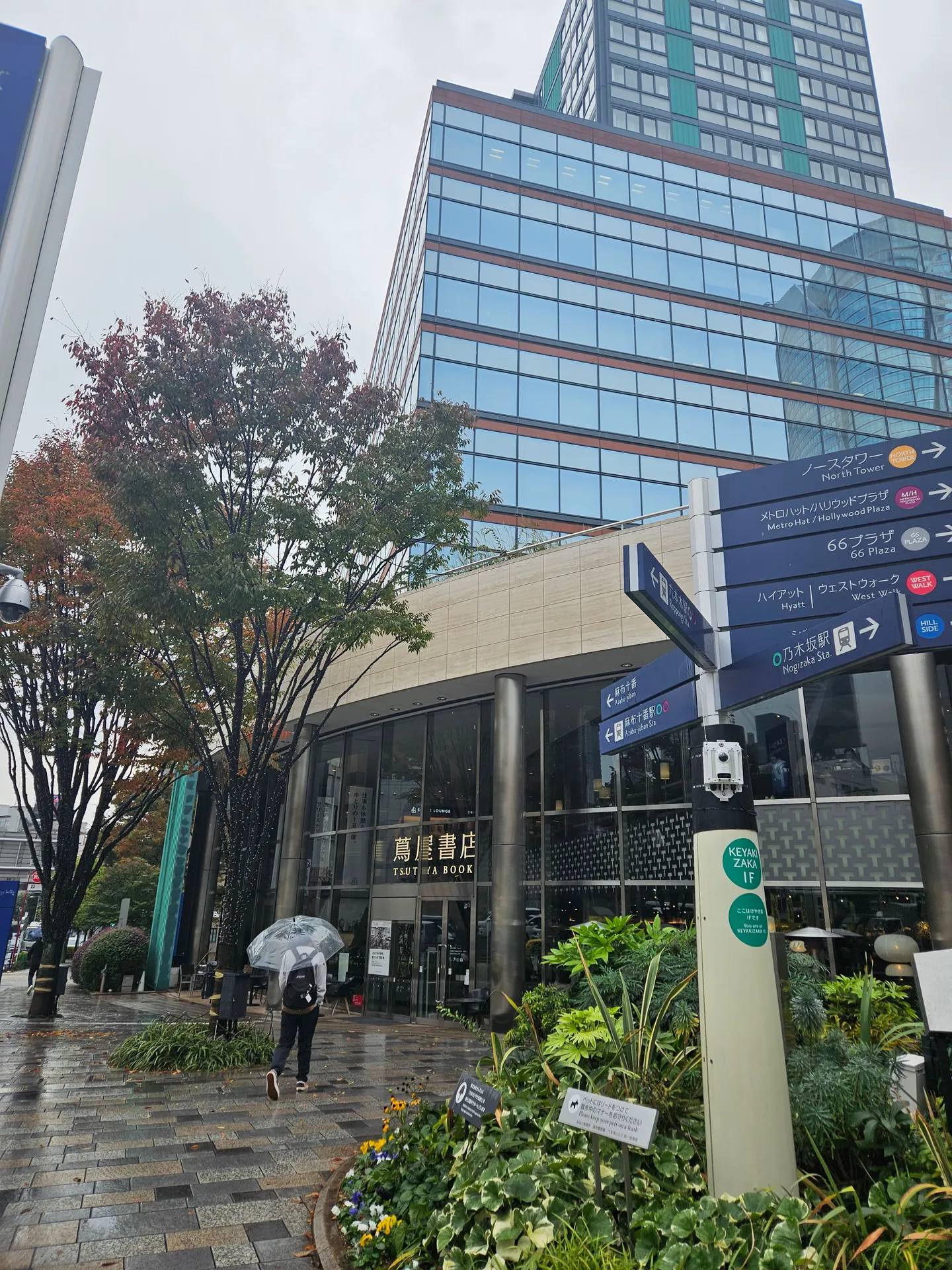Travel photos from Seoul 2