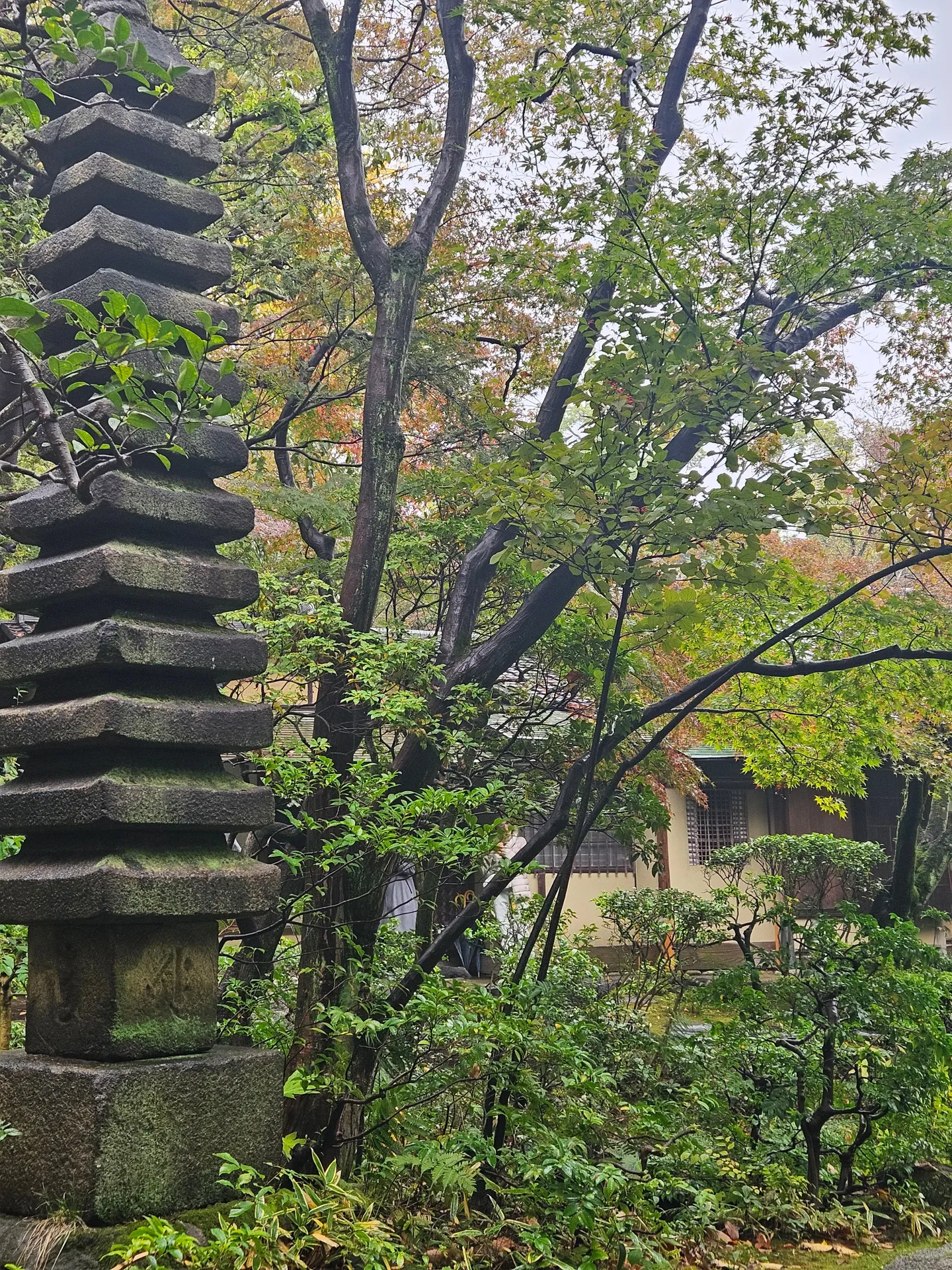 Travel photos from Seoul 6