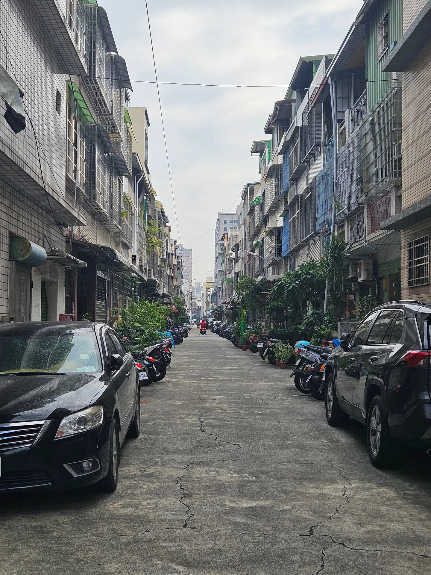 Travel photos from Seoul 2