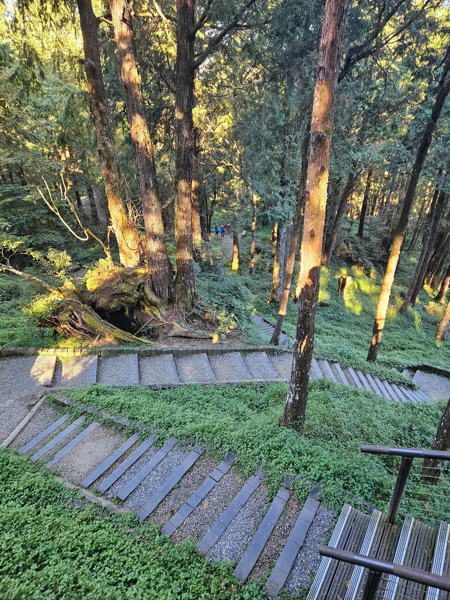 Travel photos from Seoul 9