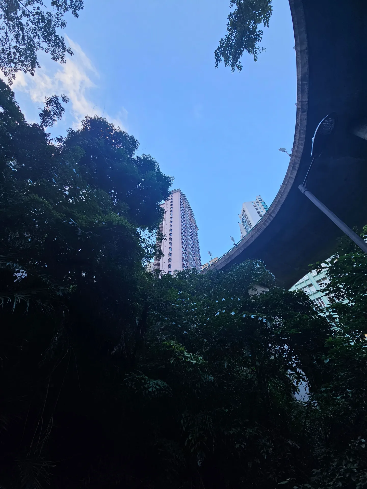 Travel photos from Week 10: Nov 28 - Dec 4: Kowloon, K-Pop and Iced Caffeine 25
