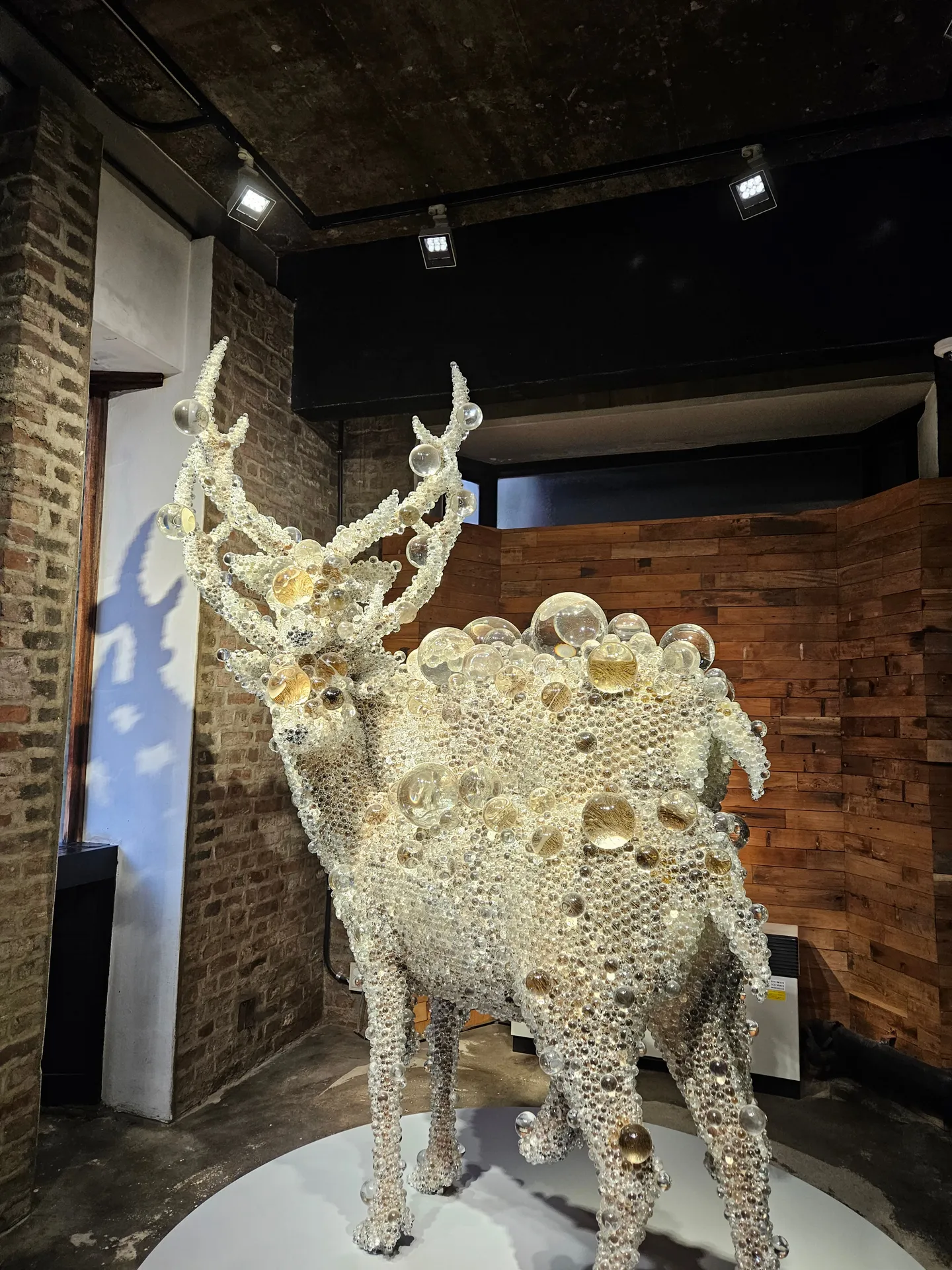 Travel photos from Week 3: Oct 10 - Oct 16: Hiking, Museums and Meeting New People. 1