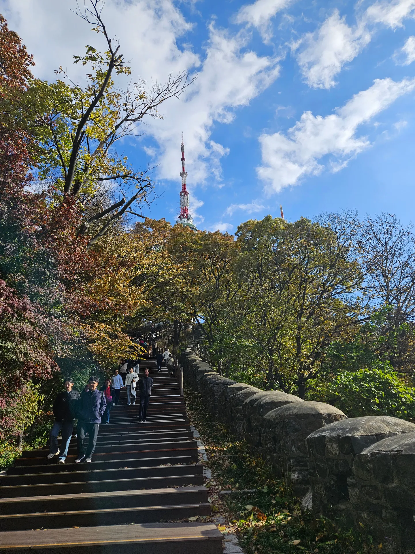 Travel photos from Week 6: Oct 31 - Nov 6: Contemplation, Halloween and Working Overtime 10
