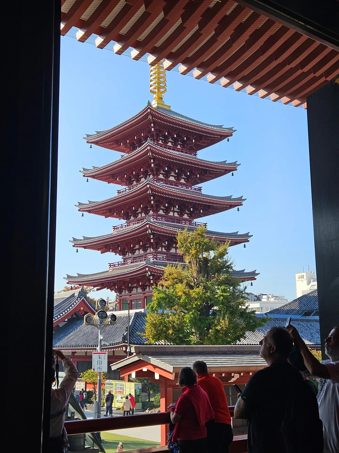 Travel photos from Week 7: Nov 7 - Nov 13: Shrines, Sushi and Sleepless Nights 3