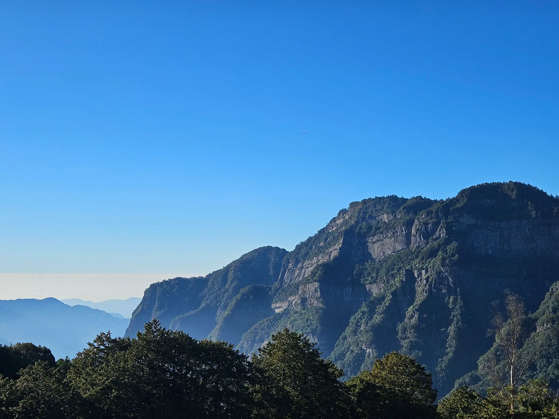 Travel photos from Week 9: Nov 21 - Nov 27: Buddhism, Dumplings, and a Distinct Culture 10