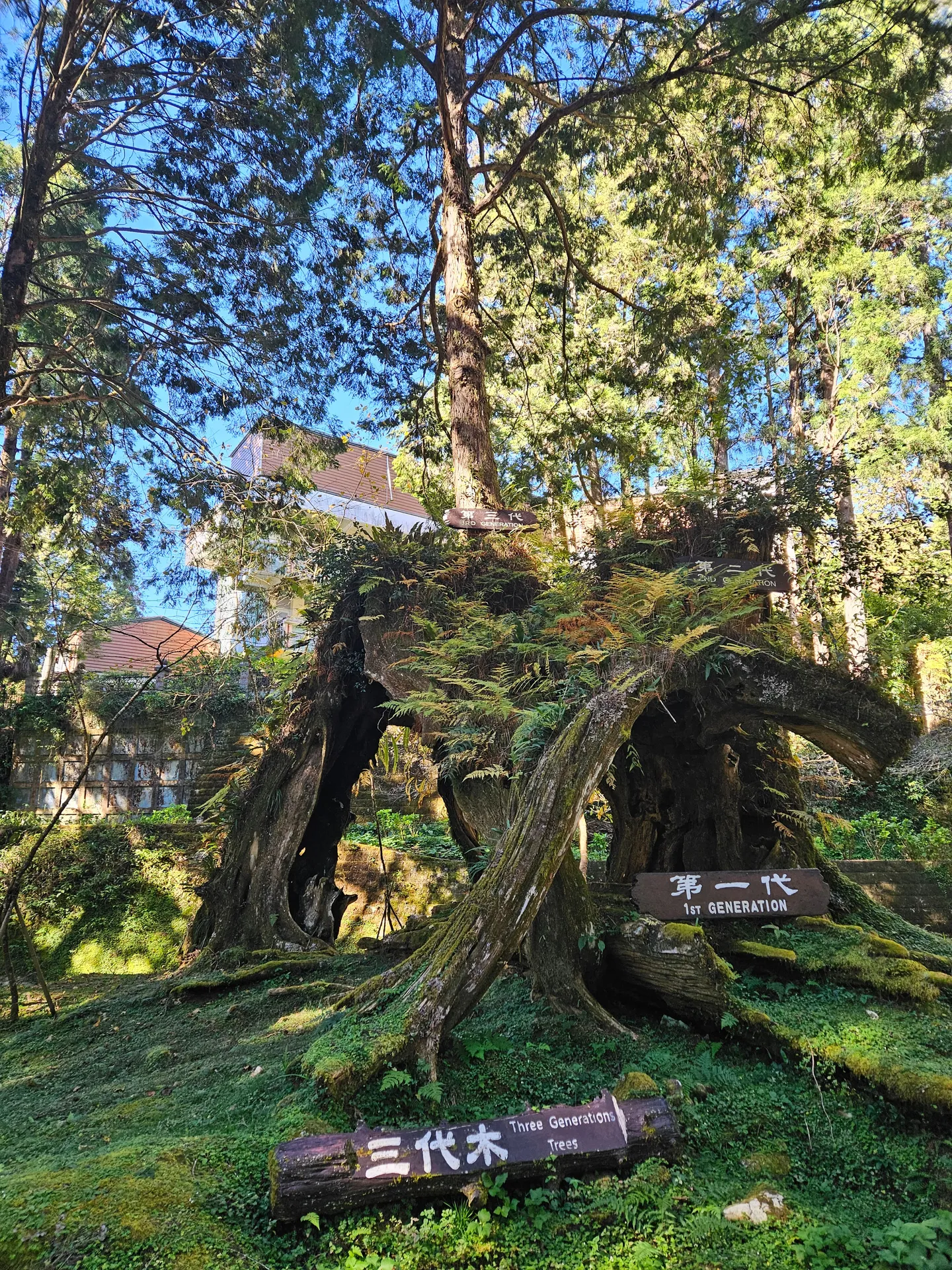 Travel photos from Week 9: Nov 21 - Nov 27: Buddhism, Dumplings, and a Distinct Culture 15