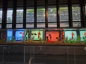 Travel photos from Seoul thumbnail 9