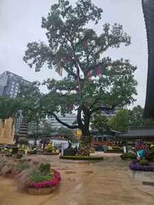 Travel photos from Seoul thumbnail 3