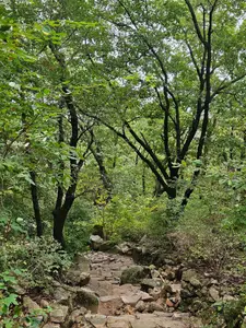 Travel photos from Seoul thumbnail 10