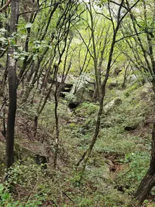Travel photos from Seoul thumbnail 2