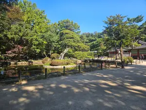 Travel photos from Seoul thumbnail 3
