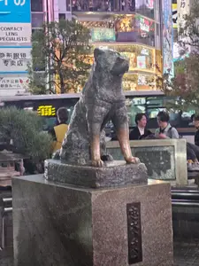 Travel photos from Seoul thumbnail 21