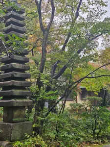 Travel photos from Seoul thumbnail 6