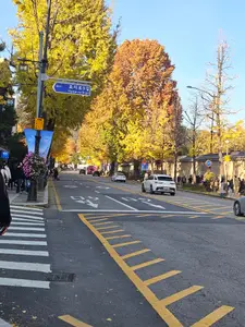 Travel photos from Seoul thumbnail 3