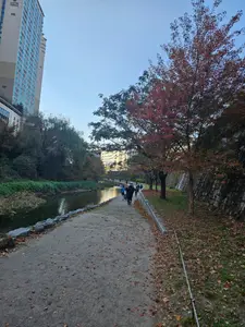 Travel photos from Seoul thumbnail 1