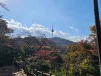 Day 38 - Seoul