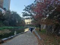 Day 52 - Seoul